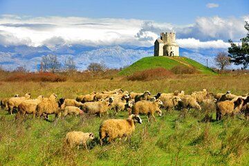Zadar and Nin Private Tour Culture Tasting and History