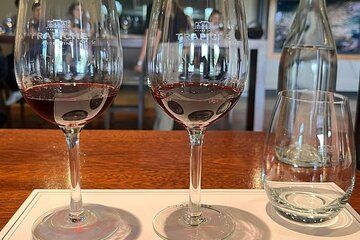 Iconic Wines of Mendoza Trapiche Tasting & Lunch at El Enemigo