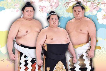 KTIC Friends Kyoto Sumo Provincial Tour and Suntory Walking Tour