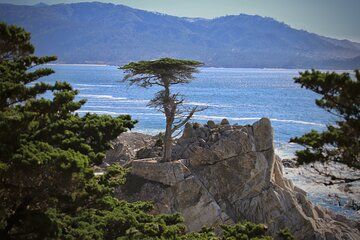 Monterey, Pebble Beach and Carmel Tour With Optional Aquarium