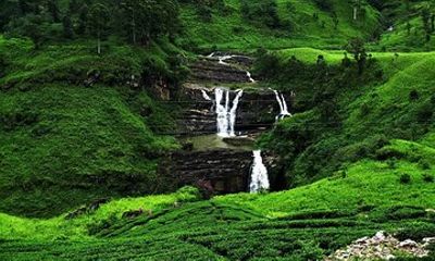 Kandy to Ella Shuttle via Waterfalls and Tea Plantations Route