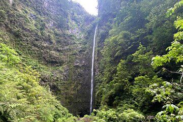Take the Green Caldeirão Private Afternoon Walk