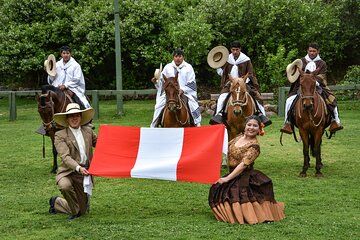 Peruvian Flavors & Paso Horses – Lima Private Shore Tour