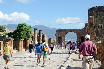 Monte Vesuvio Private Tour with Wine Tasting and Lunch