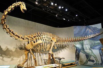 Denver Museum of Nature and Science Ticket and Audio Tour