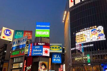 Yokohama Port Tokyo Port Shore Excursion Tokyo City Private Tour