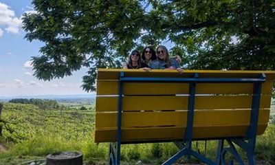 Private Wine Tour · Barolo beyond the crowds · From Milan