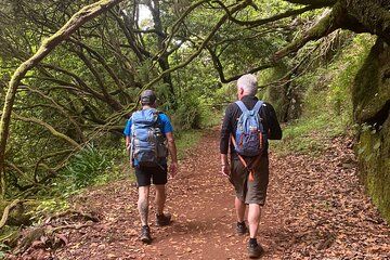 Levada do Rei - private afternoon walk