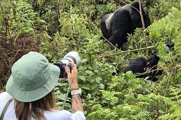 2 Days Rwanda Gorilla Trekking and Culture Experience