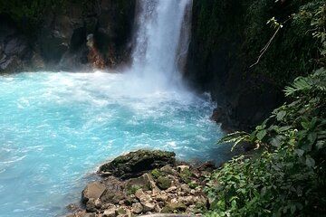 Wildlife Tour: Explore Natural Habitats of Sloths and Birds