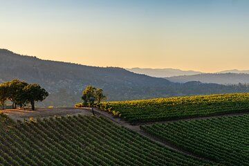 Private Napa and Sonoma Full Day Wine Tour