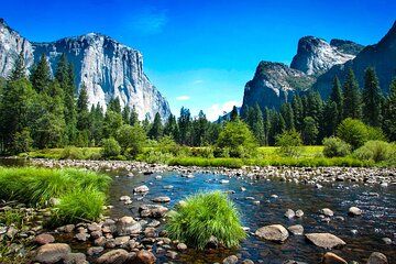 Yosemite National Park Private Full Day Tour from San Francisco