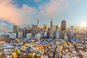 San Francisco Private Tour Muir Woods and Sausalito Day Trip