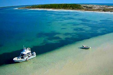 3 Hours Panama City Beach Dolphin and Snorkel Adventure