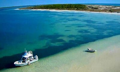 3 Hours Panama City Beach Dolphin and Snorkel Adventure