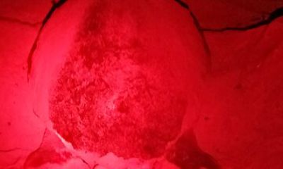 desova of sea turtles on the island of salt