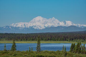 Wild Interior Alaska from Fairbanks: Denali Highway Tour