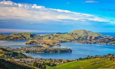 Private Shore Tour – Discover Dunedin & Otago Peninsula