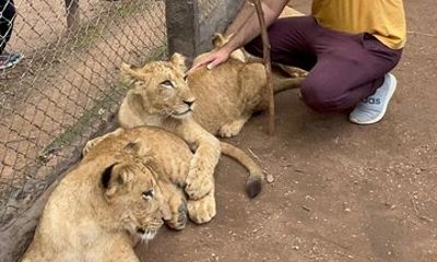 Private Harare Wildlife Tour: Lion Park, Bird park & Snake Park