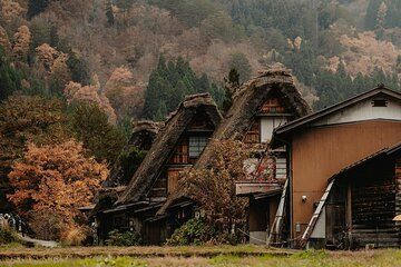 Shirakawago and Kanazawa Tour from Tokyo by Private Car