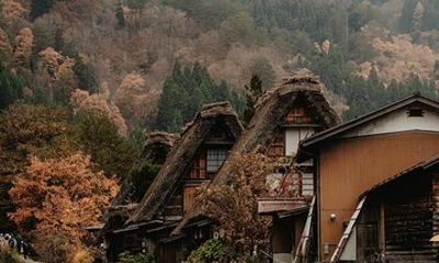 Shirakawago and Kanazawa Tour from Tokyo by Private Car