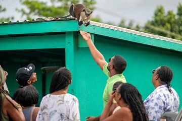 Immersive Eco Friendly Tours and Services