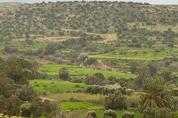 Sidi M'barek Waterfall Nature Lunch facing the Ocean
