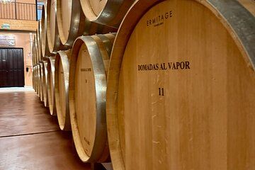 From Madrid to Ribera del Duero Vineyards and Towns Reconditos