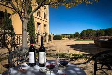 Ribera del Duero Wine Escape from Madrid Curated Tastings