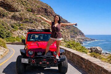 Boulders Beach Penguins, Wine Tasting & Chapman’s Peak Jeep Tour