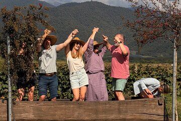Kakheti Uncorked Private Full Day Wine Tour from Tbilisi