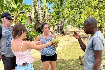 Jamaican Countryside Farm Adventure