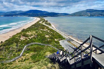 Bruny Island Food & Wildlife Guided Tour with Coastal Views