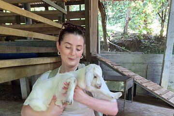 Tea Plantation Tour Village Experience & Cooking Class and Lunch