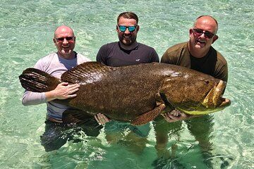 4 hour Shark or Grouper Morning or Evening Fishing Trip