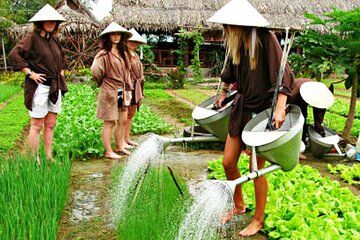 Tra Que Village Experience and Vietnamese Cooking Class in Hoi An