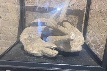 Esclusive Pompeii and Herculaneum Private tour