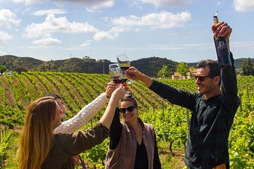 Private Wine & Lagos Exploration: Vineyards & Scenic Views