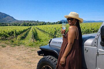Cape Town Luxury Wine Tasting Jeep Excursion