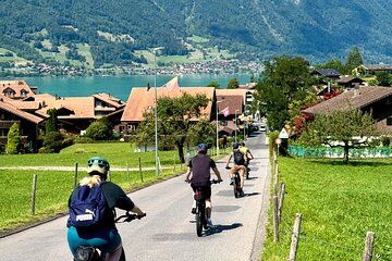 PRIVATE E-Bike Tour Iseltwald and Giessbach from Interlaken