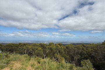 Hills to Wildlife Nature Tour