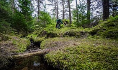 Private Guided Mountain Bike Adventure in Balquidder