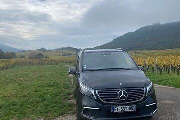Private Full Day Alsace Castles Villages and Wine Tasting