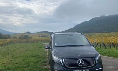 Private Full Day Alsace Castles Villages and Wine Tasting