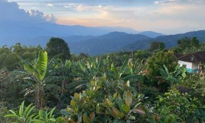 Private Fredonia Day Trip by Motor in Medellin