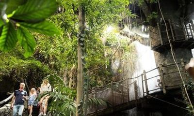 Gothenburg Universeum Ticket - Aquarium, Science, Wildlife, Zoo