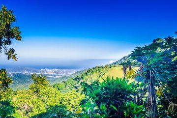 Minca Nature & Coffee Escape: Private Shore Tour from Santa Marta