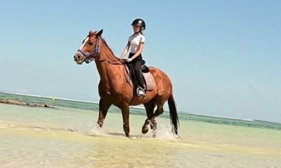 Exclusive 1 Hour Coastal Horse Ride at Bel Ombre Beach
