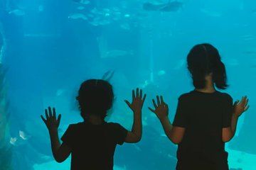 Family in Lisbon Oceanarium and Museum of Science and Teleférico