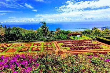 Funchal Botanical Garden and Old Town Tuk Tuk Experience